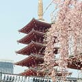 Kyoto