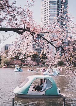 Tokyo