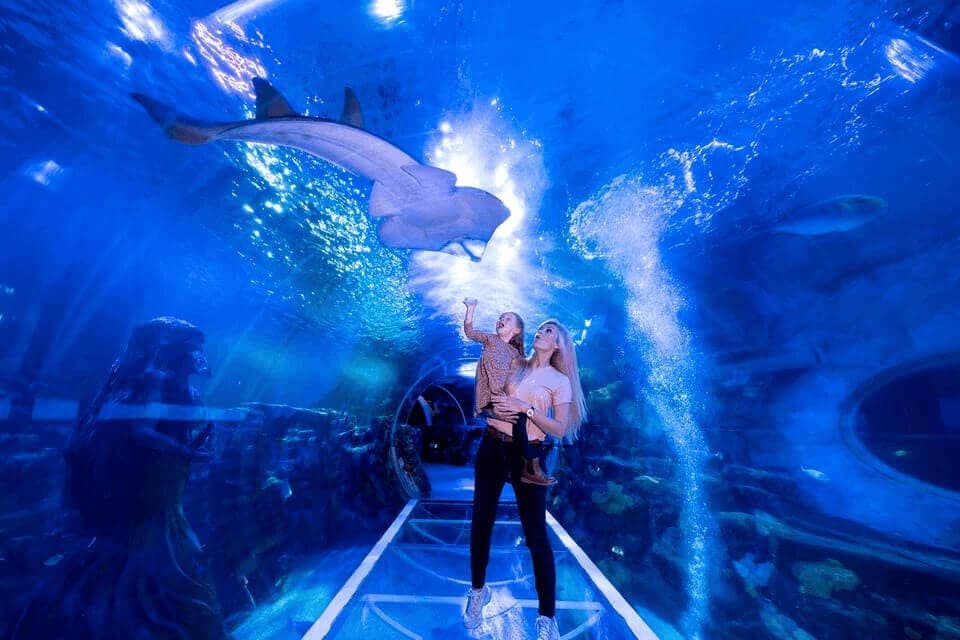 Tour image 1