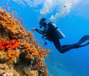 Diving & Snorkeling