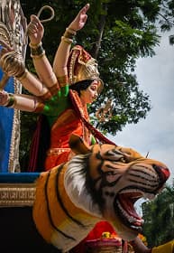 Culture (4)
